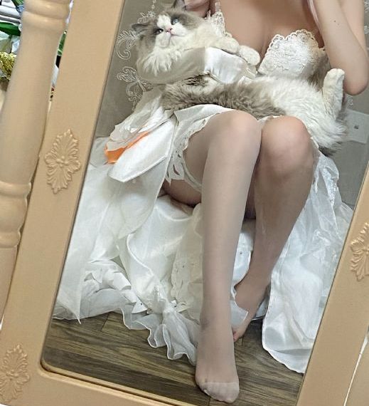 一级特黄特色高清网站_DVD电视剧在线观看
