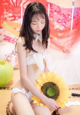 黄黄黄色精品视频免费_BD英语完整版观看